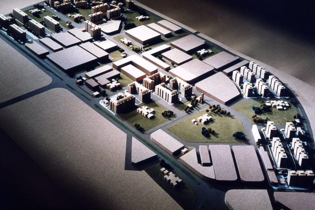 16-palomeras_nuevas002 (1) 150ppp