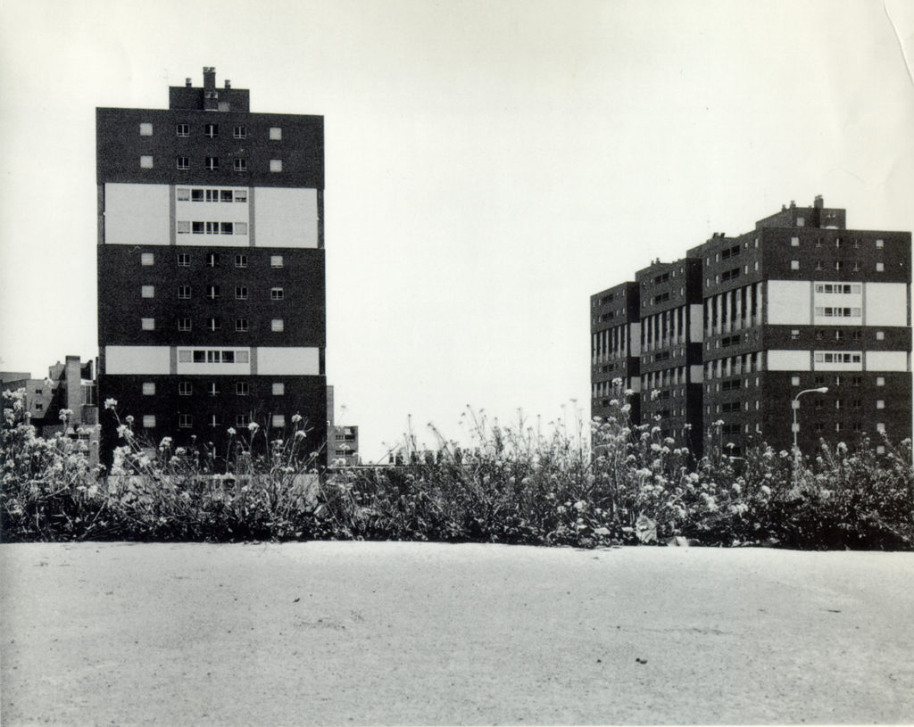 f-vivpalomeras1 150ppp