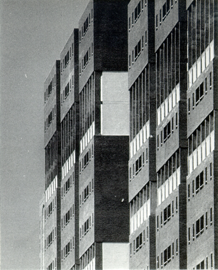 f-vivpalomeras2 150ppp