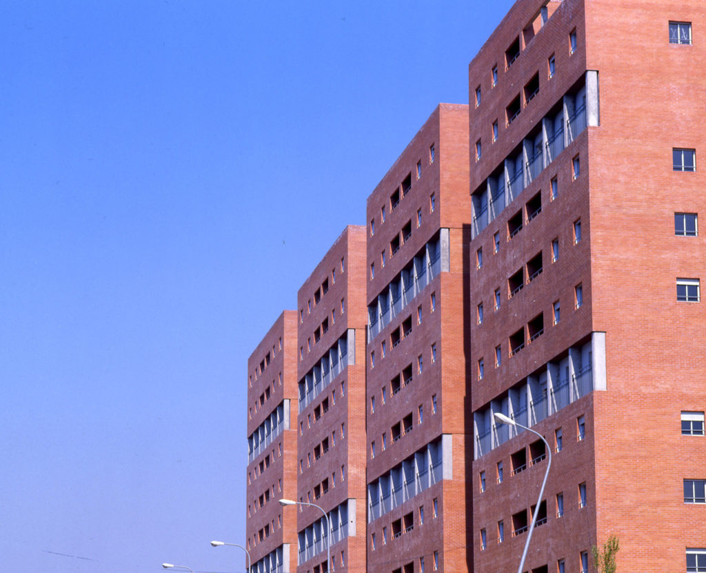 palomeras_nuevas010 150ppp