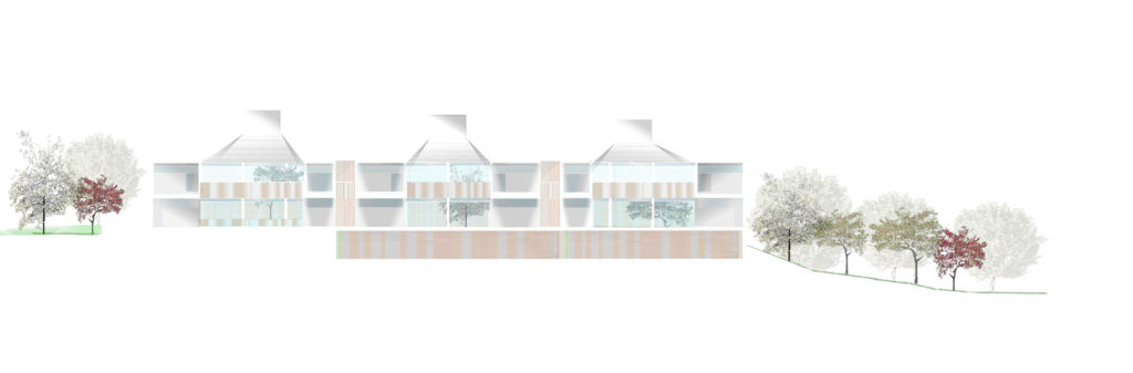 seccion trasv sala lettura